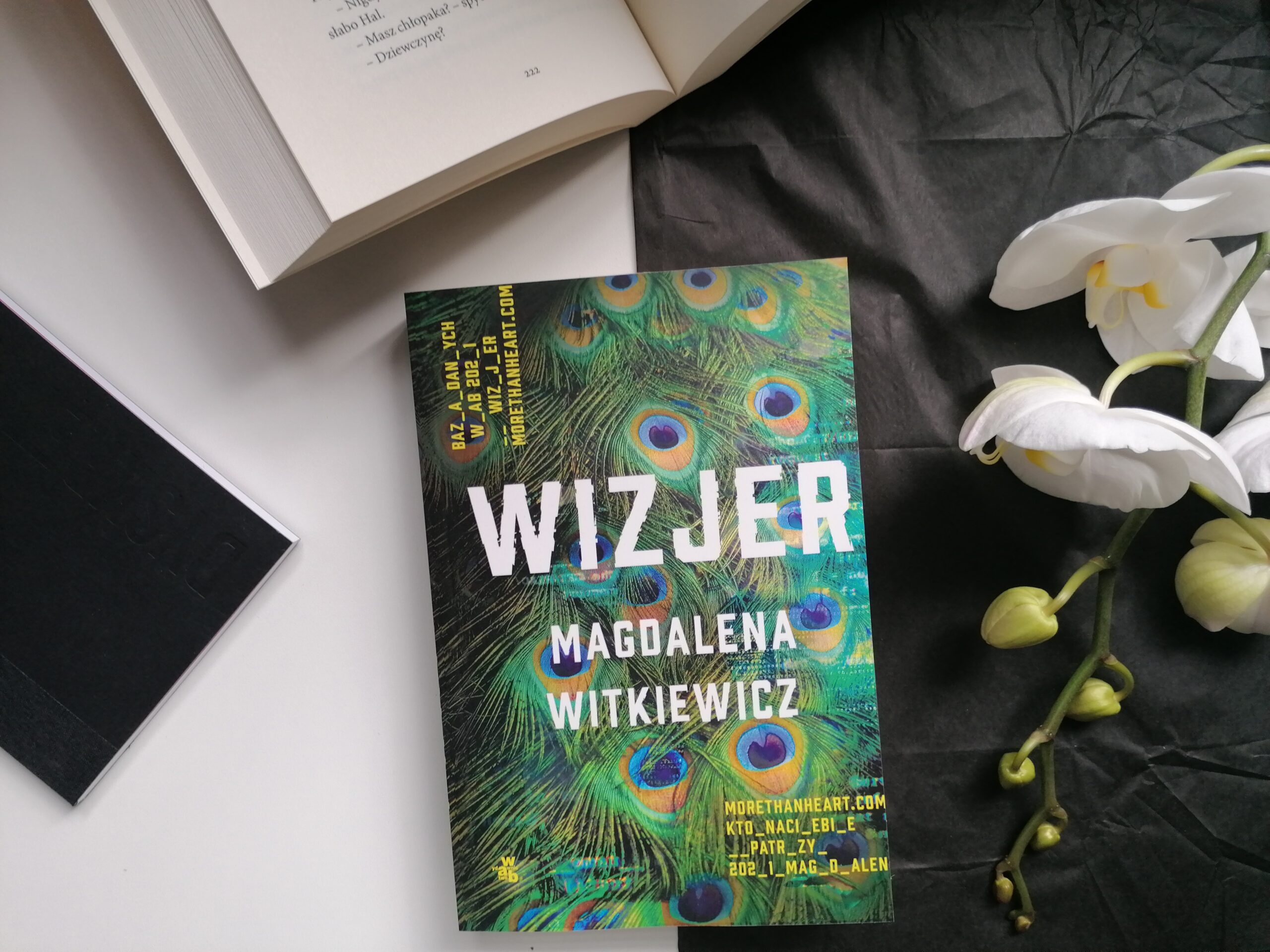 Recenzja: Wizjer - Magdalena Witkiewicz