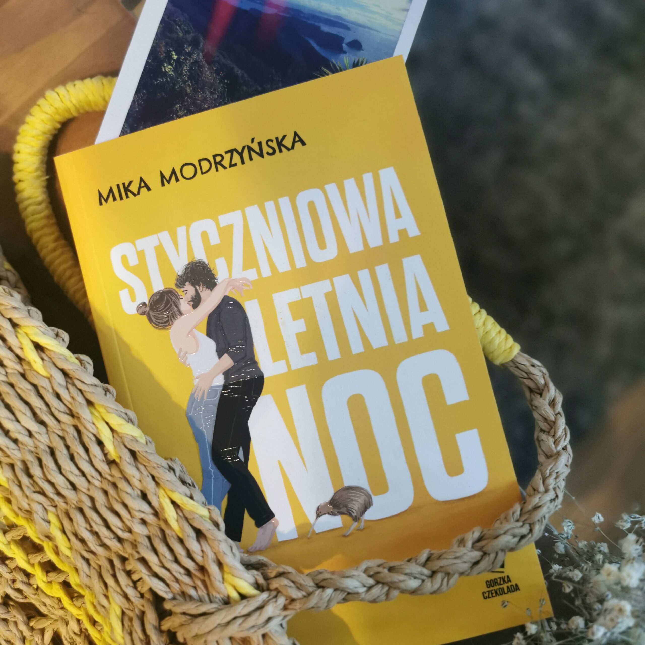 Recenzja: Styczniowa letnia noc - Mika Modrzyńska