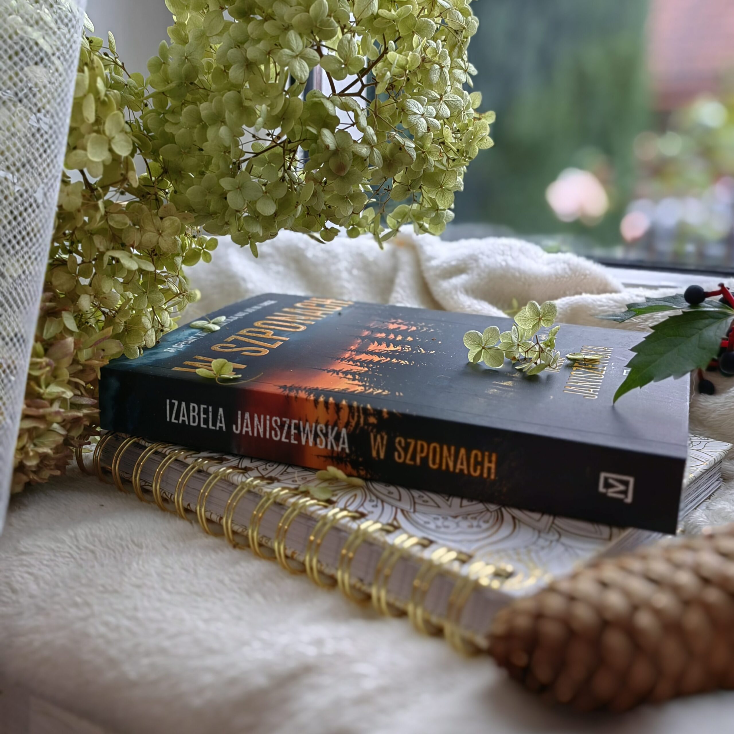 Recenzja: W szponach - Izabela Janiszewska