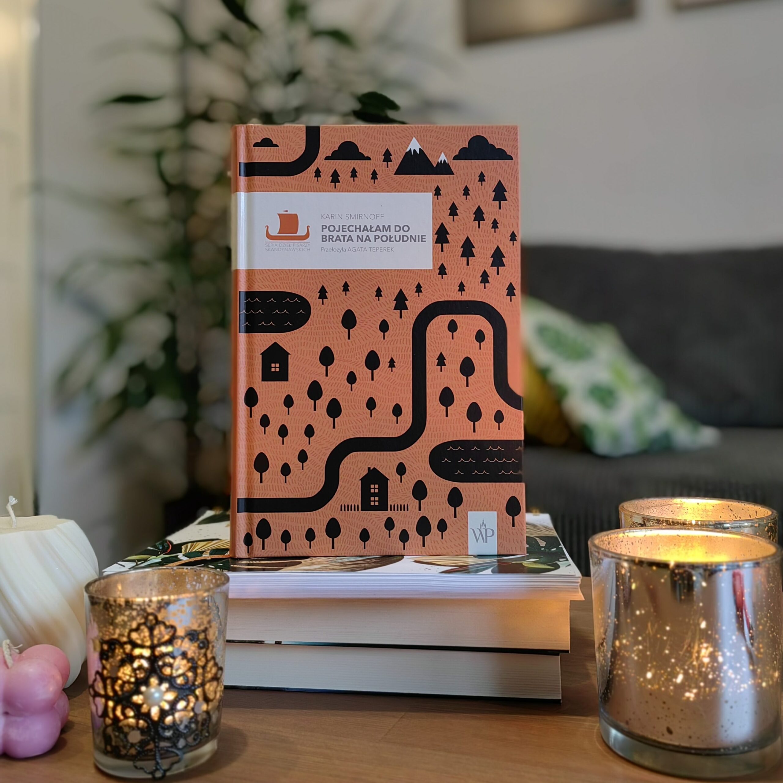 Recenzja: Pojechałam do brata na południe - Karin Smirnoff