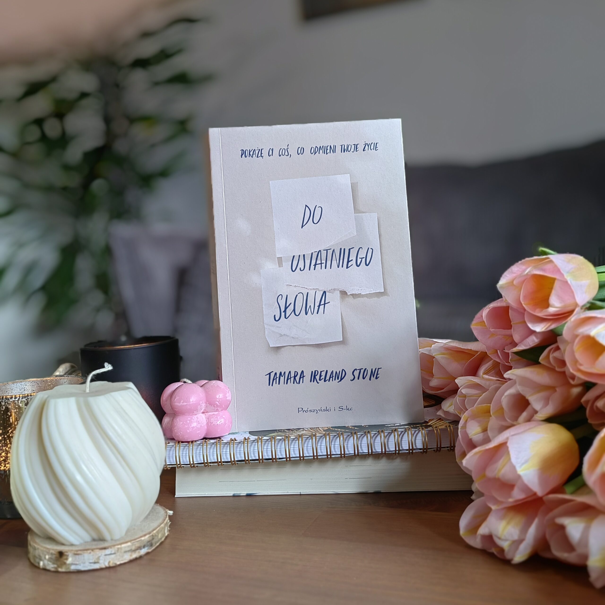 Recenzja: Do ostatniego słowa - Tamara Ireland Stone