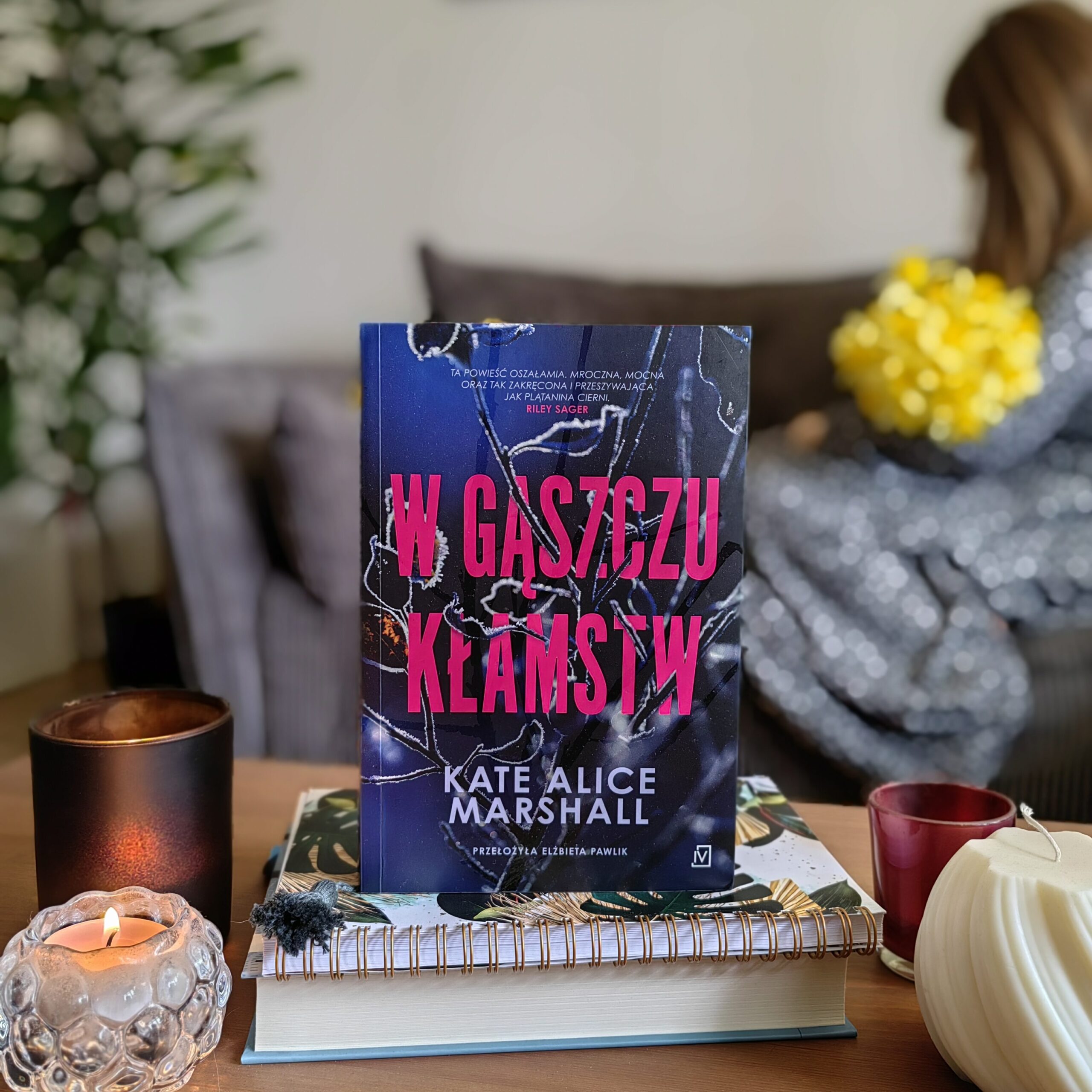 Recenzja: W gąszczu kłamstw - Kate Alice Marshall