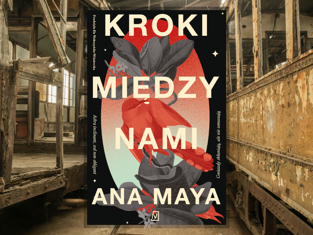 Recenzja: Kroki między nami - Ana Maya